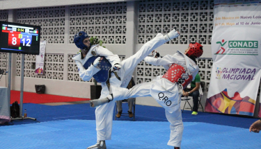 Nuevo León y Querétaro, con más medallas de oro en esta jornada de la ON 2017
