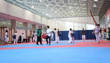 Análisis del rumbo del taekwondo mexicano