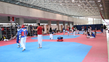 La selección mayor programa sus entrenamientos de cara al Panamericano y los Centroamericanos